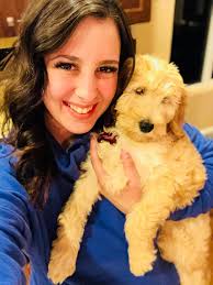 Cant get the 2 crazies inside today, Life with doodles❤️