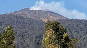 Hutan desa setianegara merupakan spot yang tepat buat kamu yang ingin menyepi. Sempat Dinyatakan Padam Gunung Ciremai Kembali Terbakar Suara Jabar