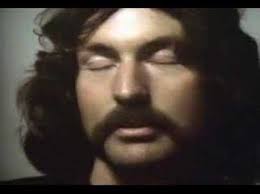pink floyd meadows