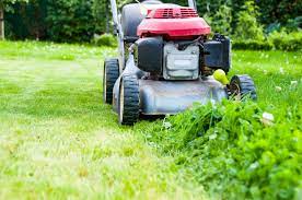 We do the small stuff. How To Choose The Best Lawn Maintenance Service