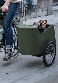 Bicycle Sidecar For Your Dog 17 Steps With Pictures Bicycle Sidecar Sidecar Custom Bikes