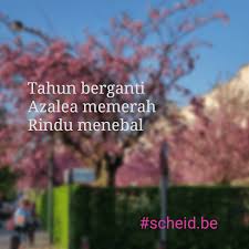 Meskipun keseruan gambar itu terlihat sederhana, tetapi foto itu dapat mengganti mood kalian. Bagaimana Cara Menulis Puisi Haiku Beni Yasin Guntarman Berbagi Ilmu
