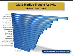 Cool Charts Showing Muscle Activation With Different