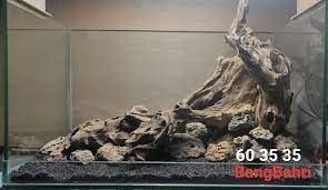 Pin Di Bangbahri Aquascape