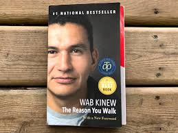 4 Principles for Education from The Reason You Walk by Wab Kinew