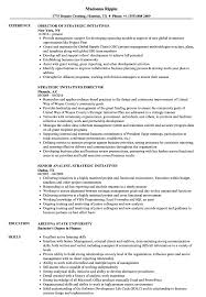 You are making every effort feasible, from chasing recruitment companies to emailing your curriculum vitae to numerous companies. Strategic Initiatives Resume Samples Velvet Jobs