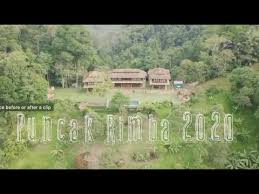 5,222 likes · 20 talking about this · 1,235 were here. Picnic At Puncak Rimba 2020 Youtube