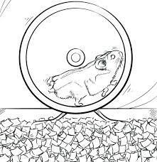 Explore 623989 free printable coloring pages for you can use our amazing online tool to color and edit the following baby hamster coloring pages. Hamster Coloring Pages Best Coloring Pages For Kids