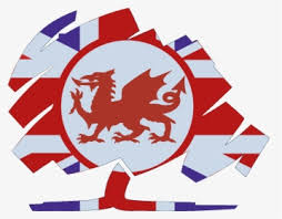 Todos los fabricantes de servicios web, sistemas operativos o dispositivos pueden crear diseños de emojis con su propio estilo y visión corporativos. Spacer Dragon De La Bandera De Gales Hd Png Download Kindpng