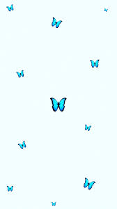 Aesthetic Butterfly Wallpaper Tumblr Babyblue Blue Minimalistic Butterfly Wallpaper Iphone Blue Butterfly Wallpaper Baby Blue Wallpaper