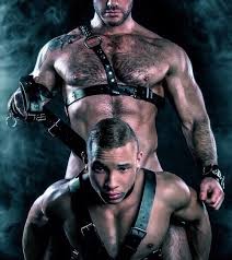 Image result for arte sadomaso