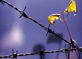 Perché si celebra il 27 gennaio. Giorno Della Memoria 2020 Le Iniziative Leggilanotizia