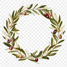 Green Olive Leaves Png Frame Design Space Free Image By Rawpixel Com Ningzk V Olive Branch Wreath Frame Design Olive Leaf