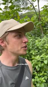 As far as I can tell, they seem to be working too! 🦋, #newzealand  #butterfly #rarotongawildlife #travel #wildlife #nature