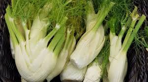 Fa bene al cuore, favorisce la digestione e aiuta a mantenersi in forma e in salute. Policlinico Di Bari Scoperta Una Nuova Allergia Quella A Finocchio Sedano E Carota Barinedita Testata Giornalistica Online