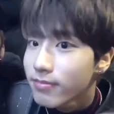 Barbara Lorca (barbaral6068)