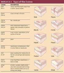 Pin By Brenda On Medical Terminology Study Dermatology