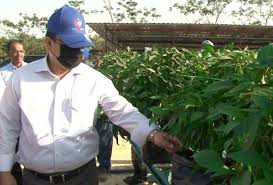 Check spelling or type a new query. Melaka Bakal Jenamakan Cili Melaka Astro Awani