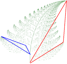 Mathematically generated patterns that can be reproducible at any magnification or reduction. Mathematics The Barnsley Fern Fractal