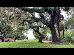 Shell (midden) base at Historic Spanish Point