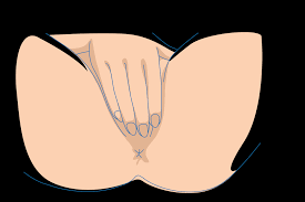 Young Adult Massage Oils for Sex