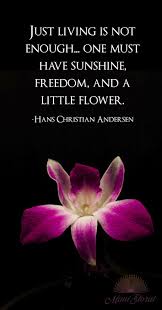 If i had a single flower for every time i think about you. We Love This Quote About Flowers Just Living Is Not Enough One Must Have Sunshine Freedom And A Little Flower Flower Quotes Quotes Enough Is Enough