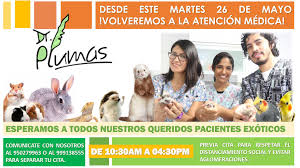 Dr. Plumas