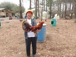 Profile for Glendel Farm-Game Fowl