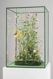 Bildergebnis für Kelly Heaton