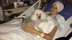Her diagnosis came at the same time that her mother is battling stage four brain cancer. Maria Menounos Cancer Scare Update Health Diagnosis 2017 Heavy Com