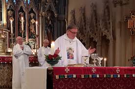 Image result for CELIBACY AND THE PRIESTHOOD