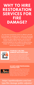How To Scare Home Insurance Adjuster Arxiusarquitectura