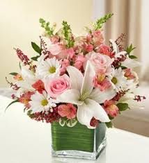 Fresh flower arrangements for all occasions, specializing in sympathy arrangements from traditional to stylized designs. Sympathy Flowers College Station Florist College Station Tx Flower Delivery Aggieland Flowers Chocolates Bryan Tx Florist Fresh Flowers Gift Baskets Banquet Flowers Best Sellers Guys In
