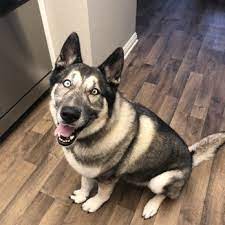 Check spelling or type a new query. Judi S Laguna Pet Spa 19 Photos 50 Reviews Pet Groomers 27001 Moulton Pkwy Laguna Hills Ca Phone Number