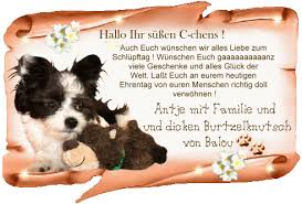 Nachträglich ach noch alles gute von uns. Bolonka Zwetna Von Den Meissner Weinbergen