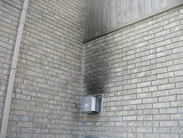 Vented fireplaces mean that the fireplace is vented either horizontally through the wall or vertically through the roof. Is There A Standard For The Amount Of Carbon Monoxide That Can Be Exhausted Through The Outside Vent Of The House Denver Flame
