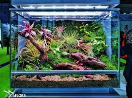7c7f2526b6349a6fce2f2234b2662163 Jpg 736 551 Pixels Paludarium Terrarium Bonsai