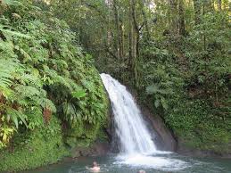 A La Decouverte De La Guadeloupe Basse Terre Audrey Cuisine Guadeloupe Basse Terre Guadeloupe Ile Francaise
