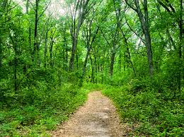 The whole family went camping here over memorial day weekend. Green Lake Campground 2 Photos Green Lake Wi Roverpass