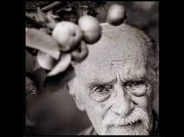 Mark McCarty Photography in Cropseyville, NY