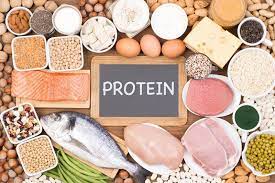 We did not find results for: Daftar Makanan Tinggi Protein Rendah Lemak Baik Untuk Diet