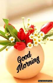 Beautiful flowers wallpapers beautiful rose flowers pretty flowers flower background wallpaper flower backgrounds flower wallpaper flower romantic text messages romantic texts messages for her rupi kaur wedding ceremony readings fitness quotes women highly sensitive. 900 Good Morning Ideas In 2021 Good Morning Good Morning Quotes Good Morning Greetings