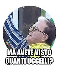 Malgioglio 0 points 1 point 2 points 10 days ago we should be paid for it. Trashitaliano Sticker By Trendit For Ios Android Giphy