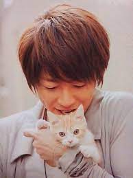 pin by becky guyn on 相葉ちゃん animals aww cats