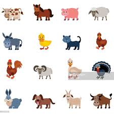 Domestic Animal Characters Character Illustration Animals Free Illustrations