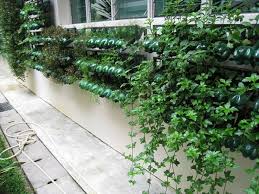 Colorful plastic bottle vertical garden. 10 Plastic Bottle Vertical Garden Ideas