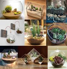 Pero, ¿sabemos cómo cuidar un cactus? Cactus Artificiales Grandes Y Pequenos De Decoracion