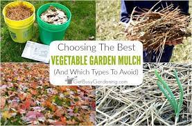 Choosing The Best Mulch For Vegetable Gardens Mulch For Vegetable Garden Garden Mulch Organic Mulch