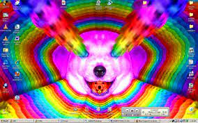 *** accepting reservations *** for information, please email to letsrunum@hotmail.com or go to www.oodlesofdoodles.online frida & quigley multigen goldendoodles (adult picture of frida coming) Rainbow Puppy Desktop Lololol By Blue Dragon22 On Deviantart