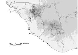 Image result for Eriosema laurentii